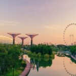Future Developments in Singapore