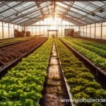 DEC GHG Reporting Rules for Large Emitters Starting 2027