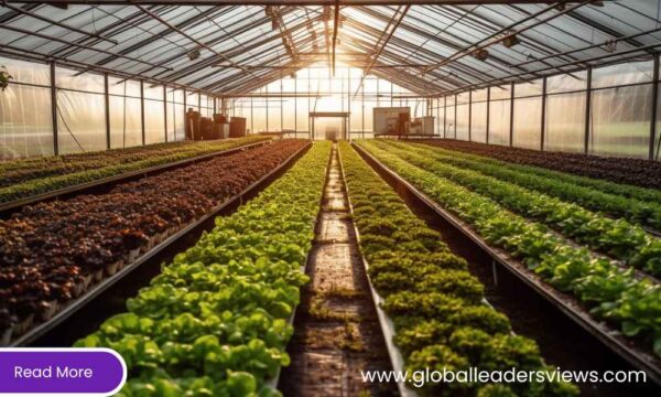 DEC GHG Reporting Rules for Large Emitters Starting 2027