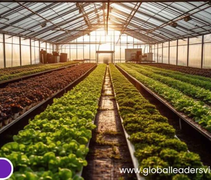 DEC GHG Reporting Rules for Large Emitters Starting 2027