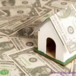 Fannie Mae and Freddie Mac Accumulate Mortgages, Rate Drop