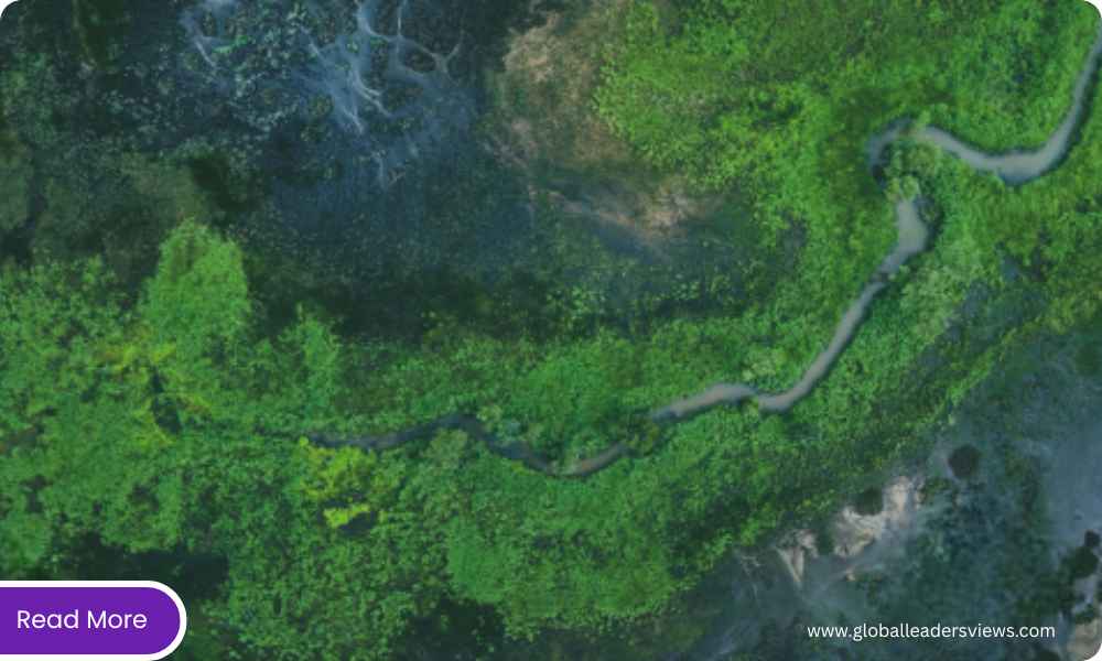 Bregal Sphere’s $500 Million Commitment to Nature Restoration