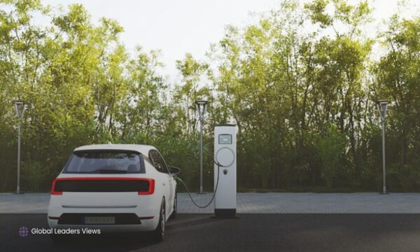Decline in Electric Vehicle