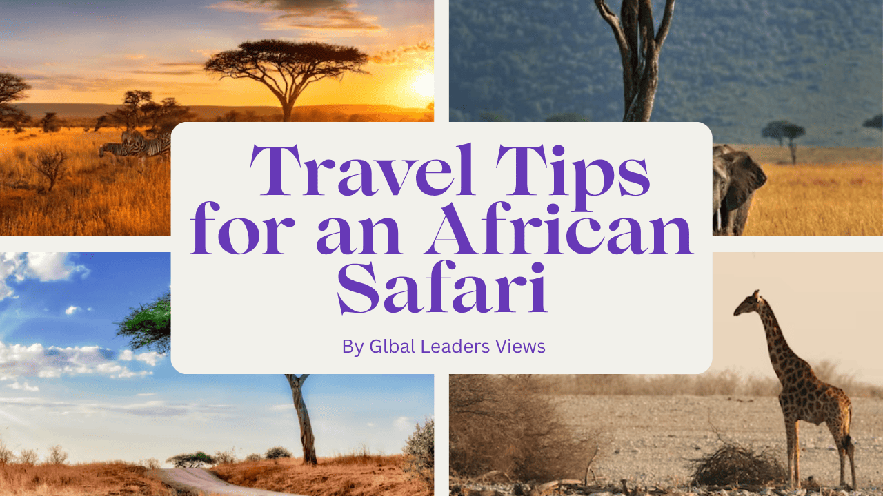 How Do I Prepare for an African Safari?