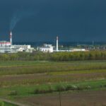 Plant-Carbon-Sequestration